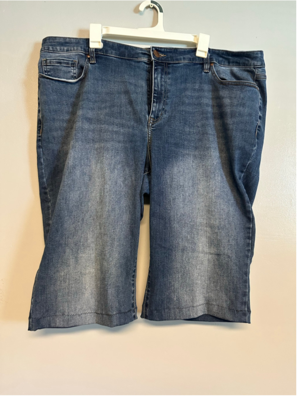 Lane Bryant Jean Shorts Size 24 Blue Denim